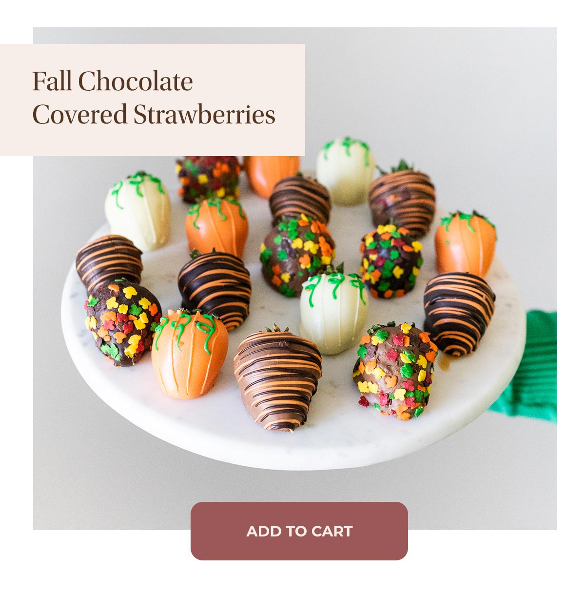 Shop Fall Chocolate Covered Berries