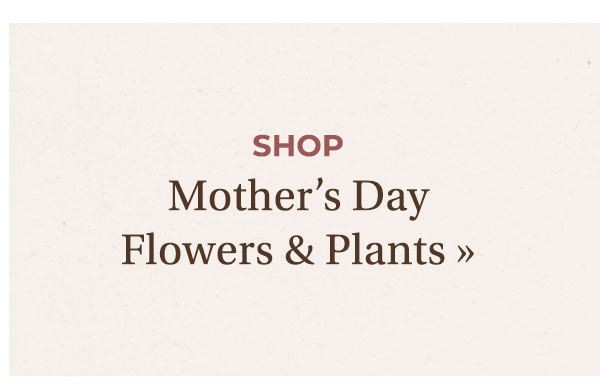 Shop Mother's Day Flowers & Plants
