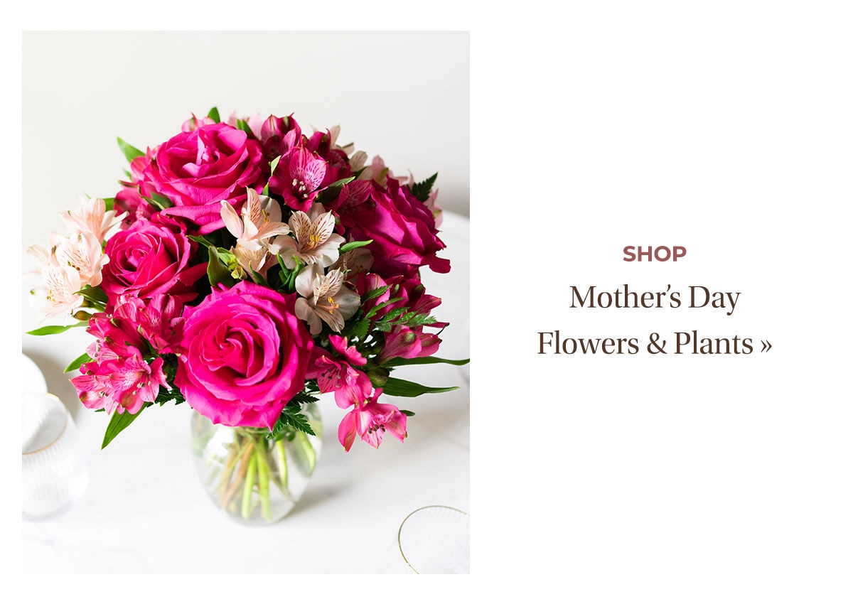 Shop Mother's Day Flowers & Plants